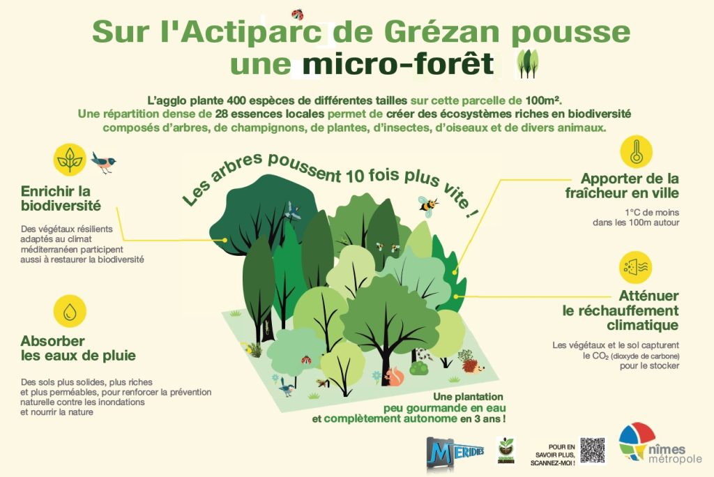 Visuel d'explication de la nouvelle micro-forêt Plantation plantée en Février 2023 sur l'actiparc de Grézan, à Nîmes, avec la société Meridies. Pour un actiparc plus vert !